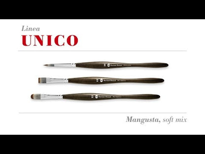 Borciani e Bonazzi SERIE 802 UNICO CAT'S TONGUE BRUSH WITH MONGOOSE IMITATION SYNTHETIC FIBER AND BALANCED HANDLE.