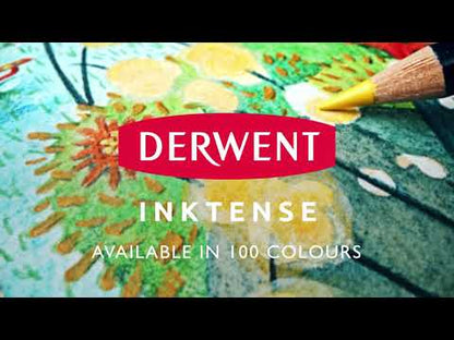 Derwent Inktense Pencil Set